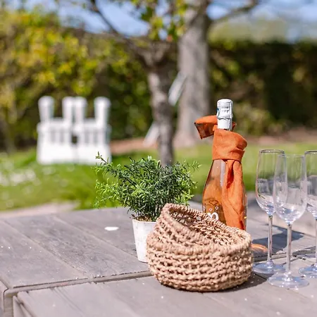 Sunny Family With Beautiful Private Garden And Terrace Tatil Evi Bredene
